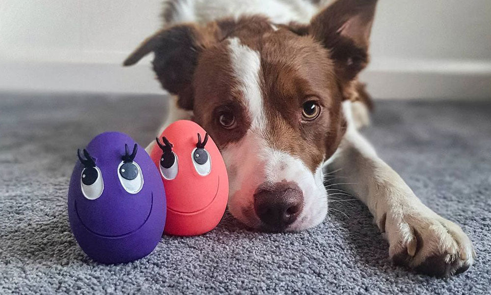 Why Buying Biodegradable Dog Toys is Important - Natural Rubber Toys