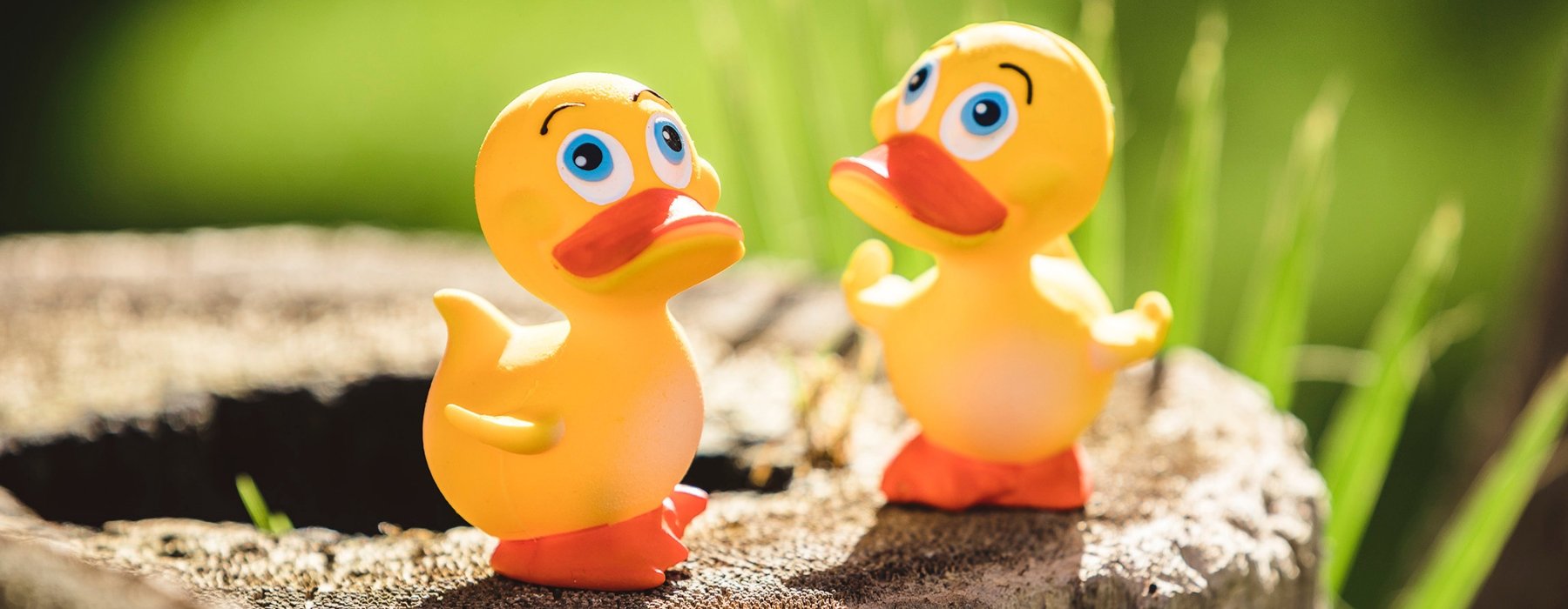 Rubber Ducks | Natural Rubber Toys