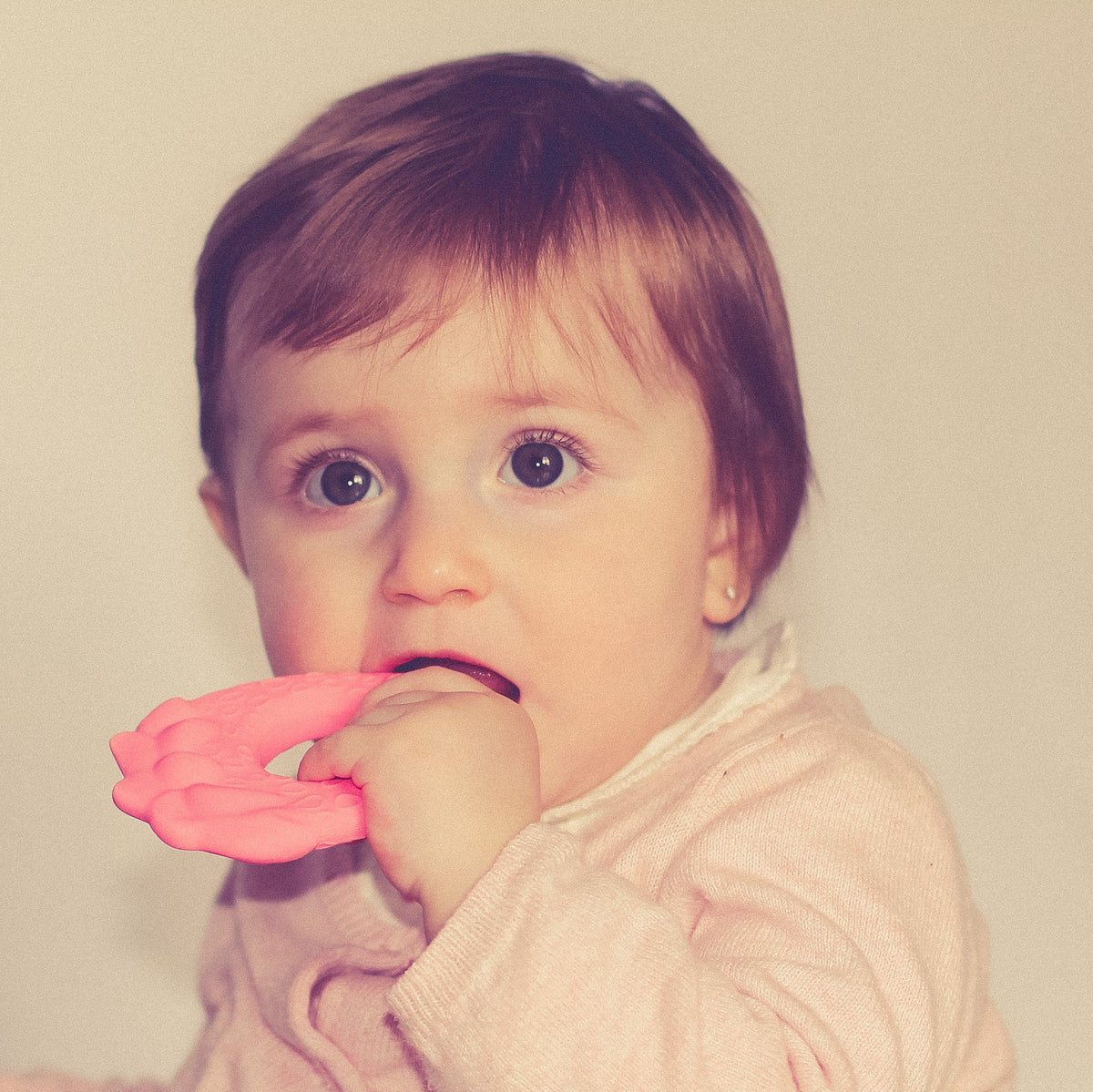 Strawberry teether for baby