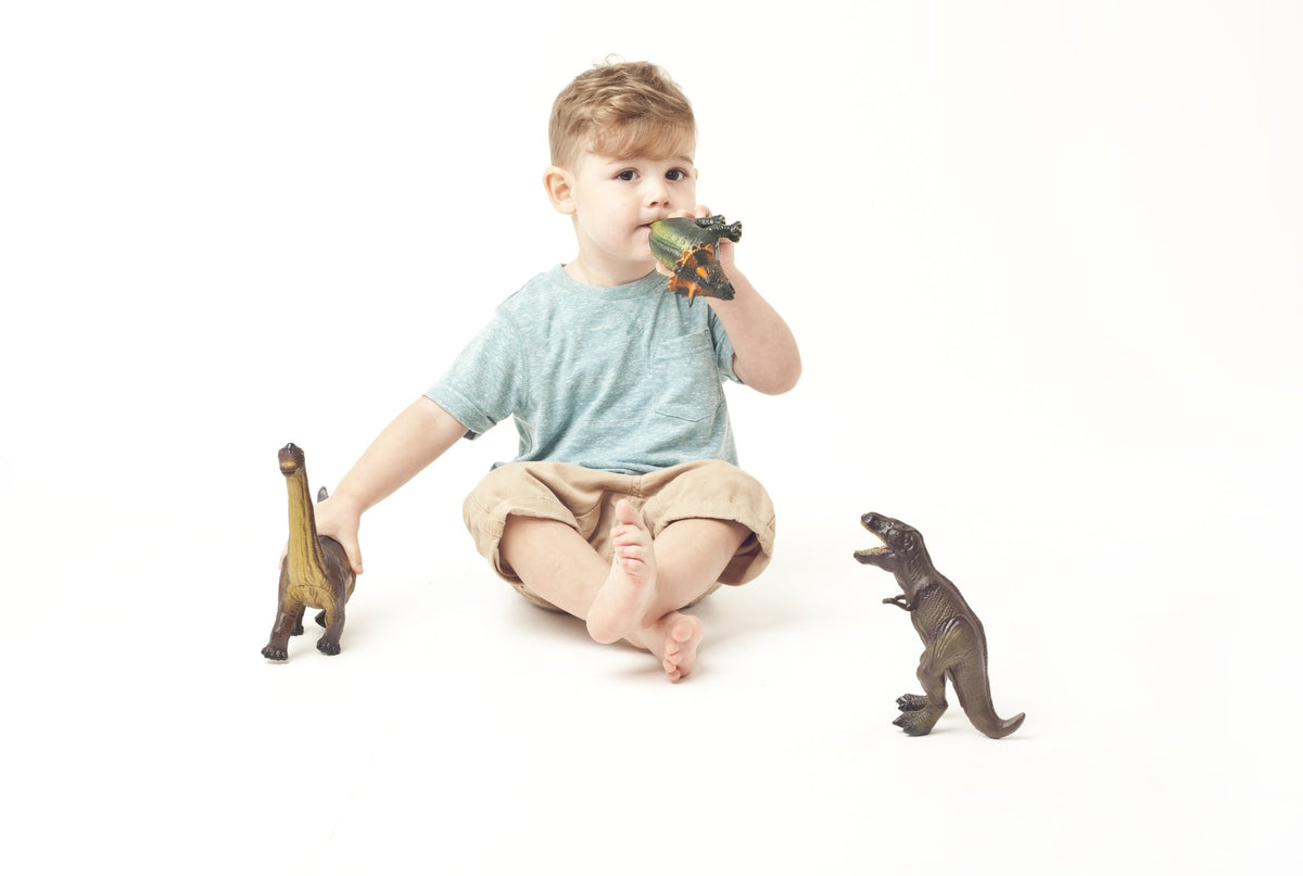DINOSAURS (set of 4) - Natural Rubber Toys