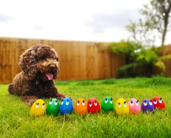 Platypus dog toy with eggs shop
