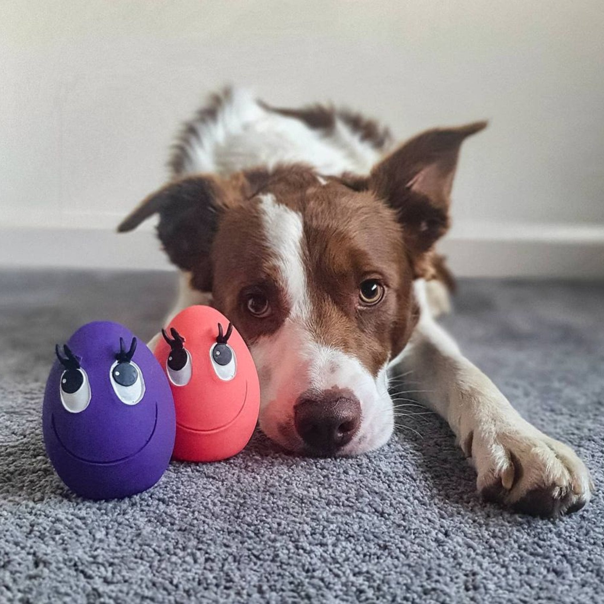 XL OVO Egg (Orange & Purple) 2-Set - Natural Rubber Toys