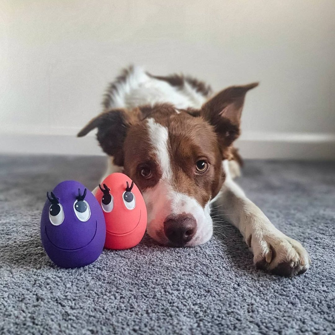 XL OVO Egg Pnk &amp; Purple 2-Set - Natural Rubber Toys