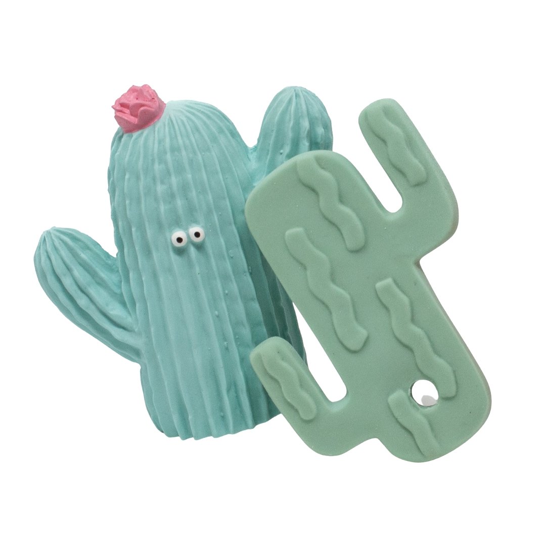 Green Cactus Baby Gift - Rubber Toy For Baby&#39;s | Natural Rubber Toys