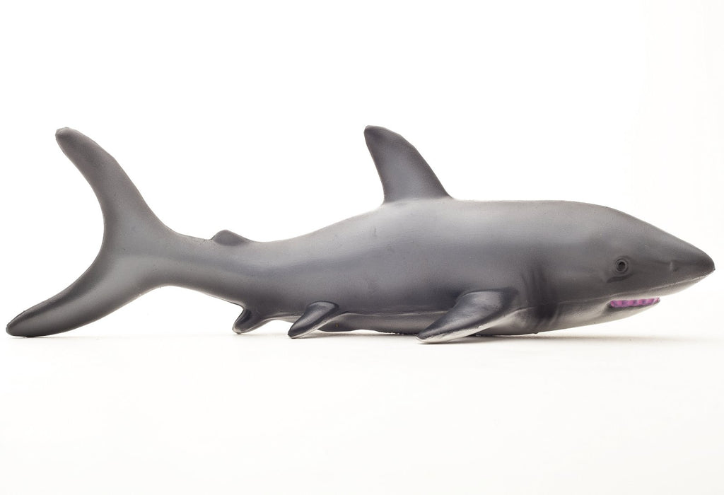 Shark rubber shop