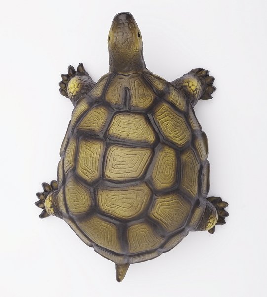 Tortoise - Natural Rubber Toys